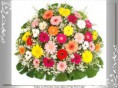 Primavera